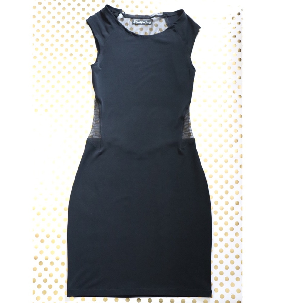 Elizabeth and James Mesh Dress